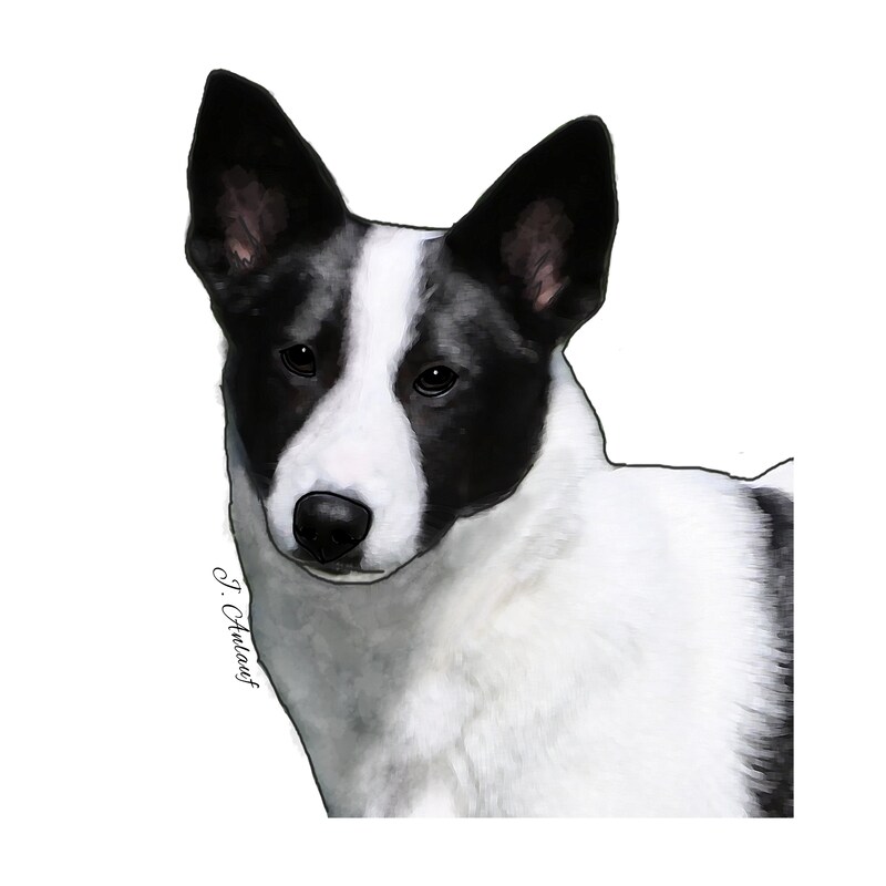 Canaan Dog (Design 2) - Printed Transfer Sheets for a variety of surfaces